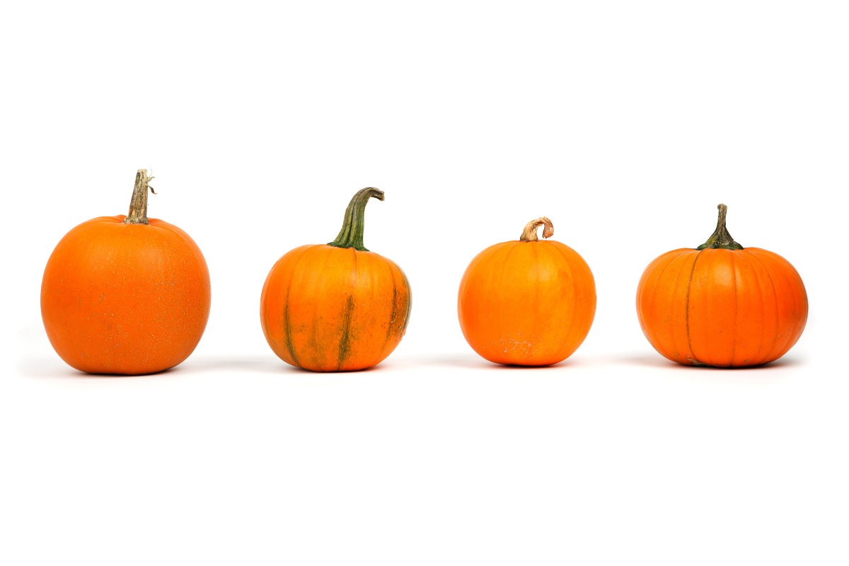 Pourquoi la citrouille est-elle le symbole d’Halloween ?