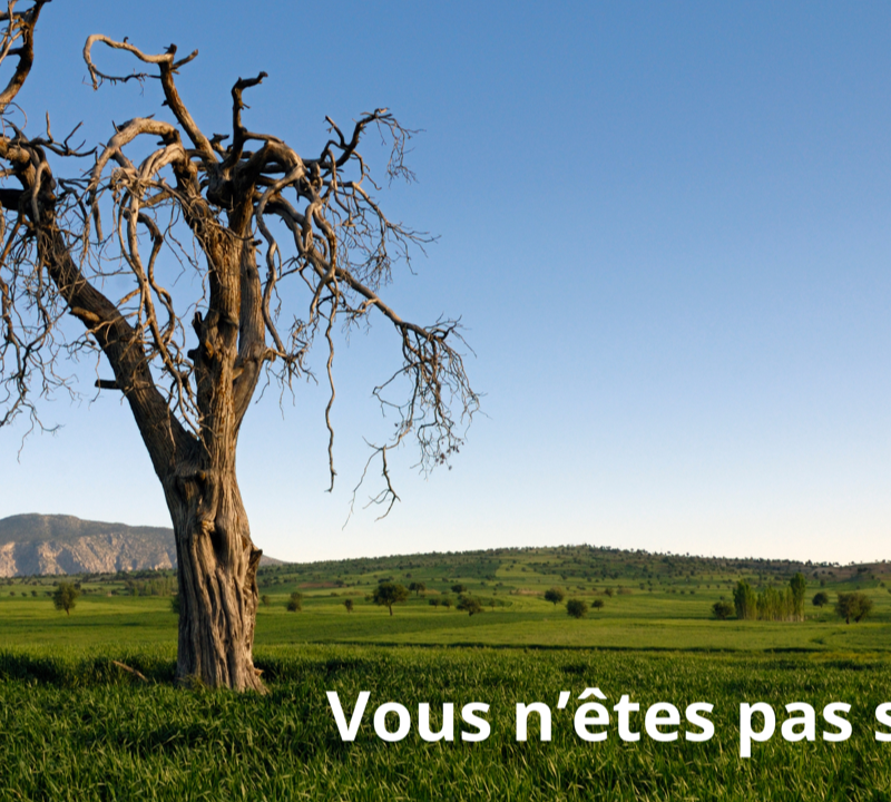 Peur de la mort? vous n'êtes pas seul...!