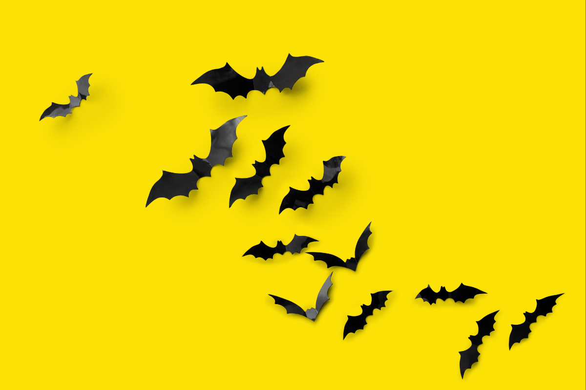 Les chauves-souris d’Halloween sont-elles vraiment inoffensives ?