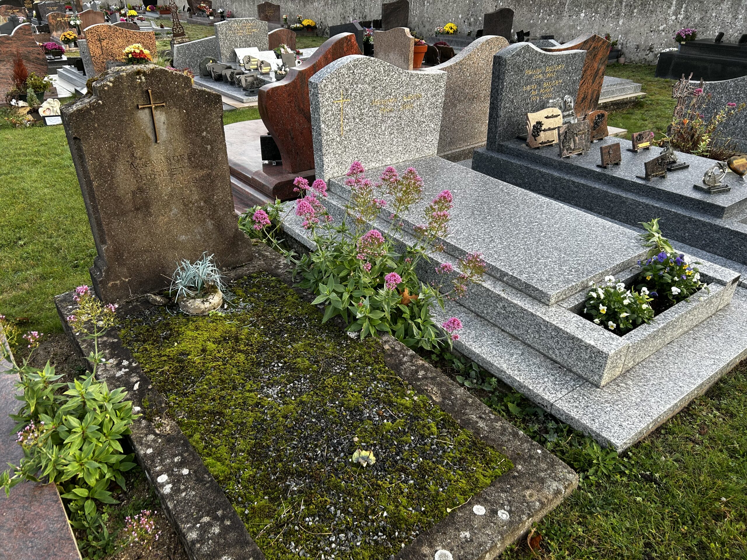 Ancienne tombe recouverte de mousse à côté d'une sépulture récente en granit gris, ornée de petites fleurs roses et violettes.