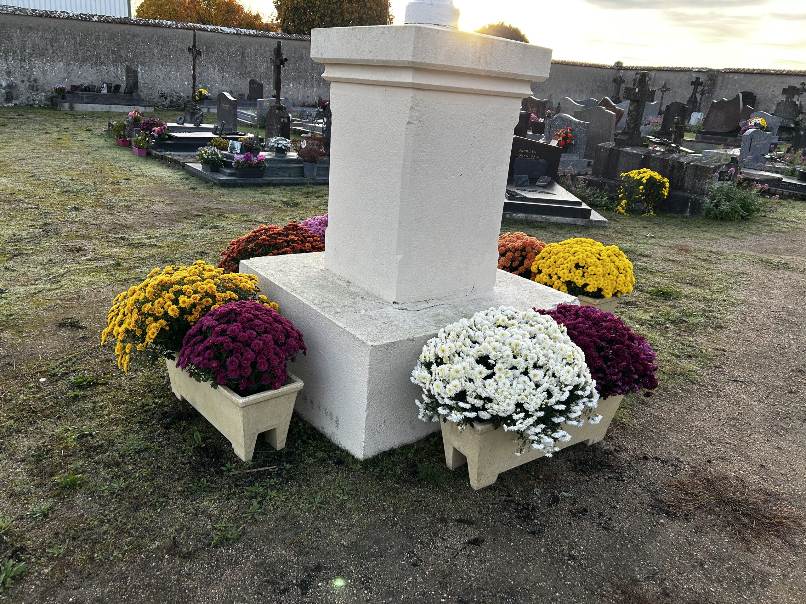 Chrysanthèmes blancs, jaunes et pourpres disposés autour du socle d'un calvaire dans un cimetière.