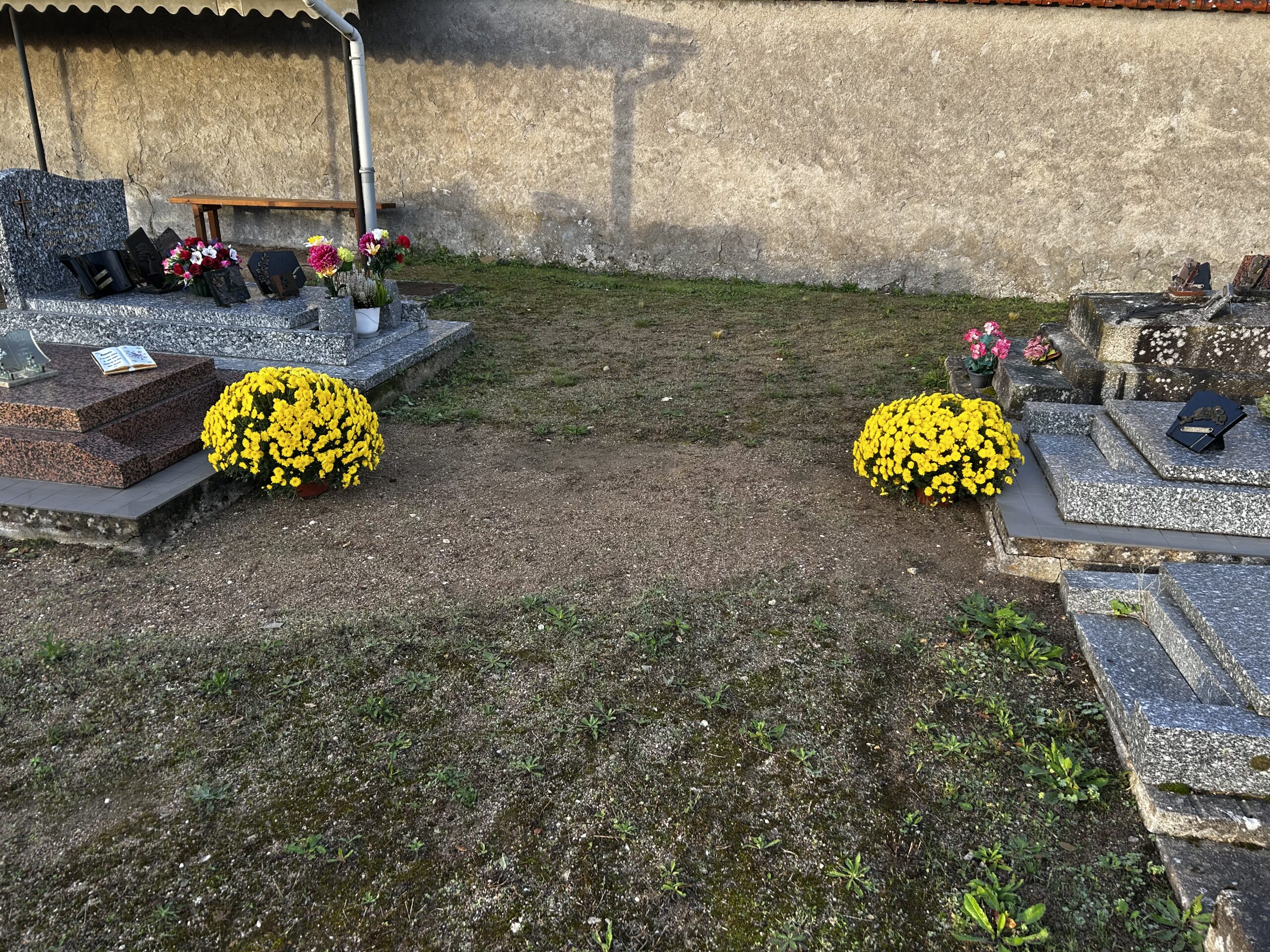 Alignement de sépultures en granit ornées de chrysanthèmes rouges, jaunes, roses et orange dans un cimetière.