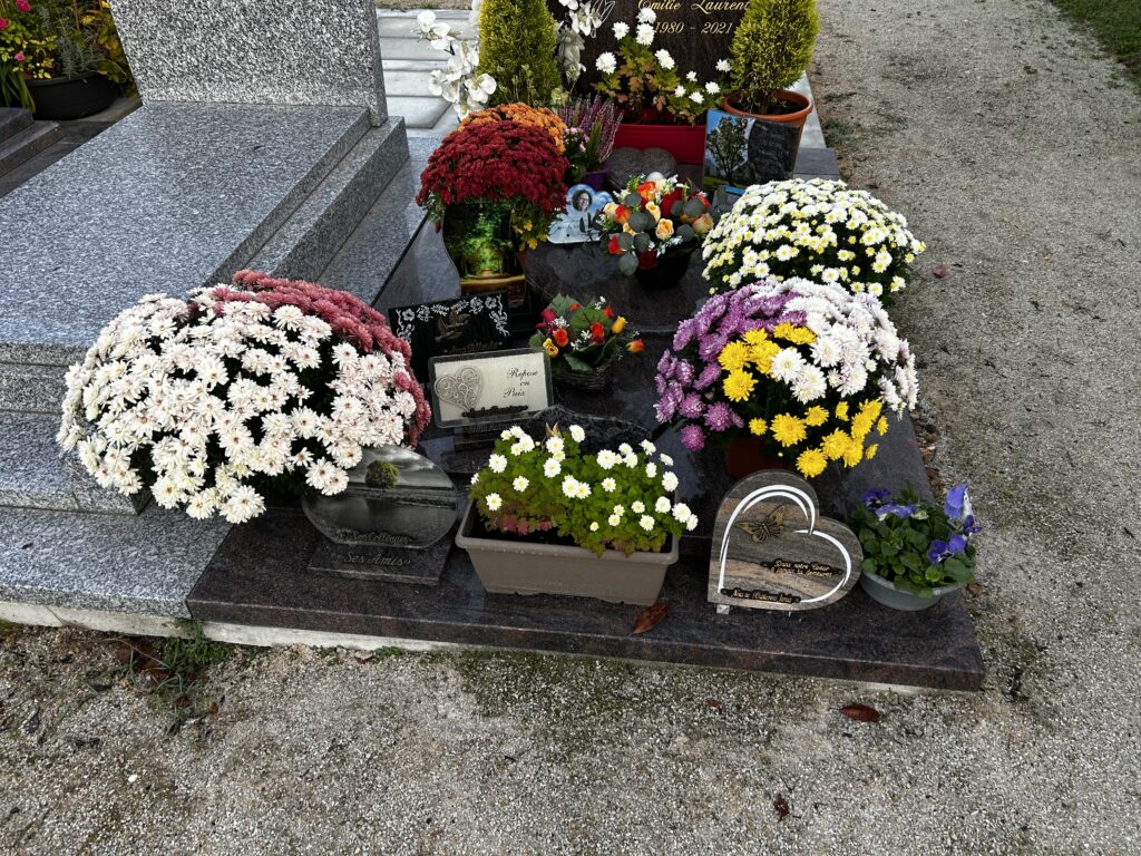 Sépulture ornée de bruyères roses, de plantes vertes et de fleurs blanches disposées dans plusieurs pots et jardinières.